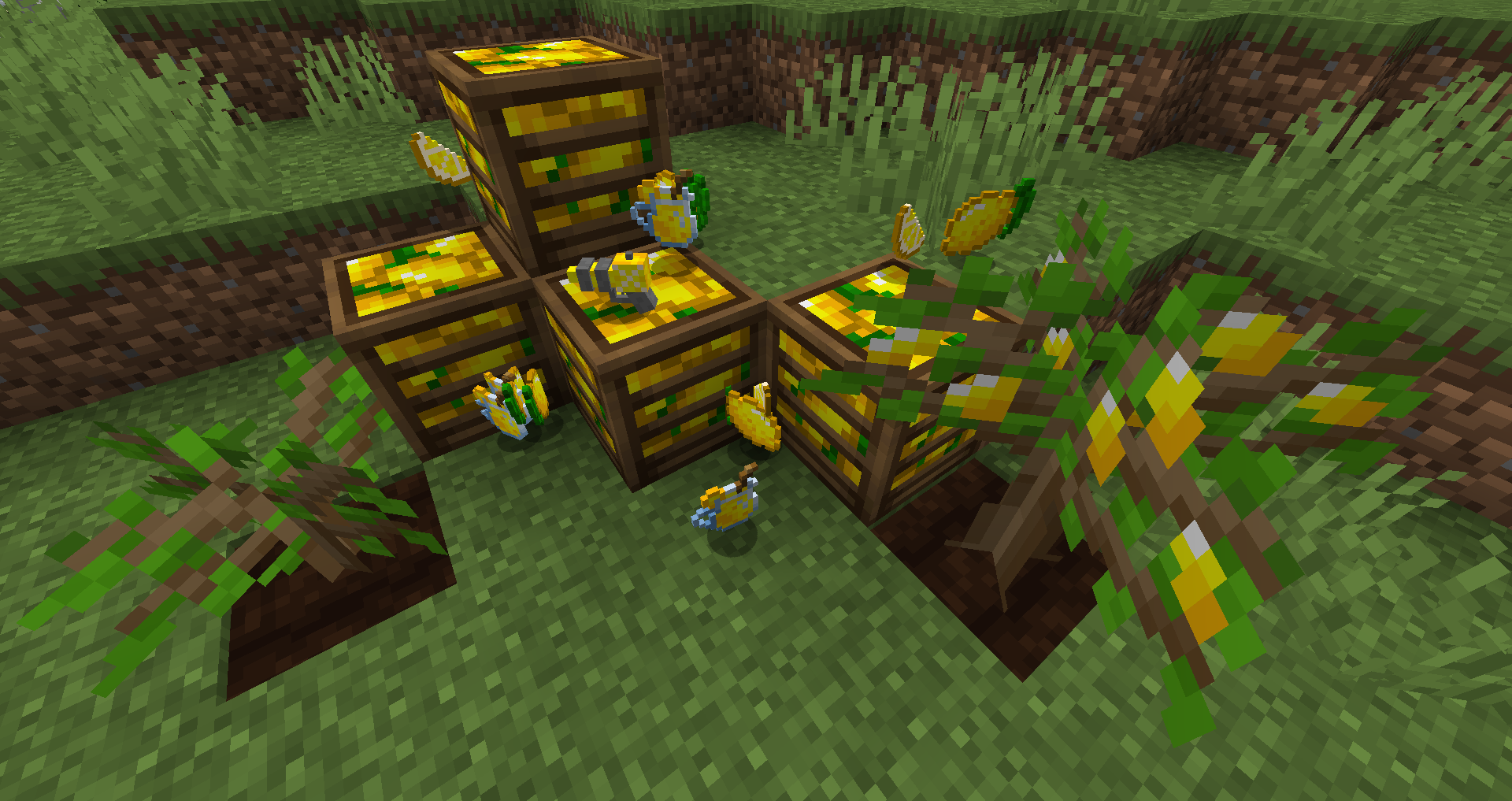 Lemons!