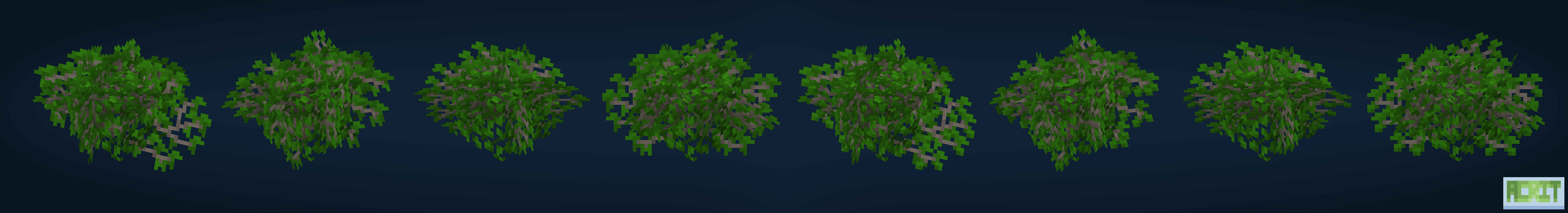 Dense Acacia Leaves