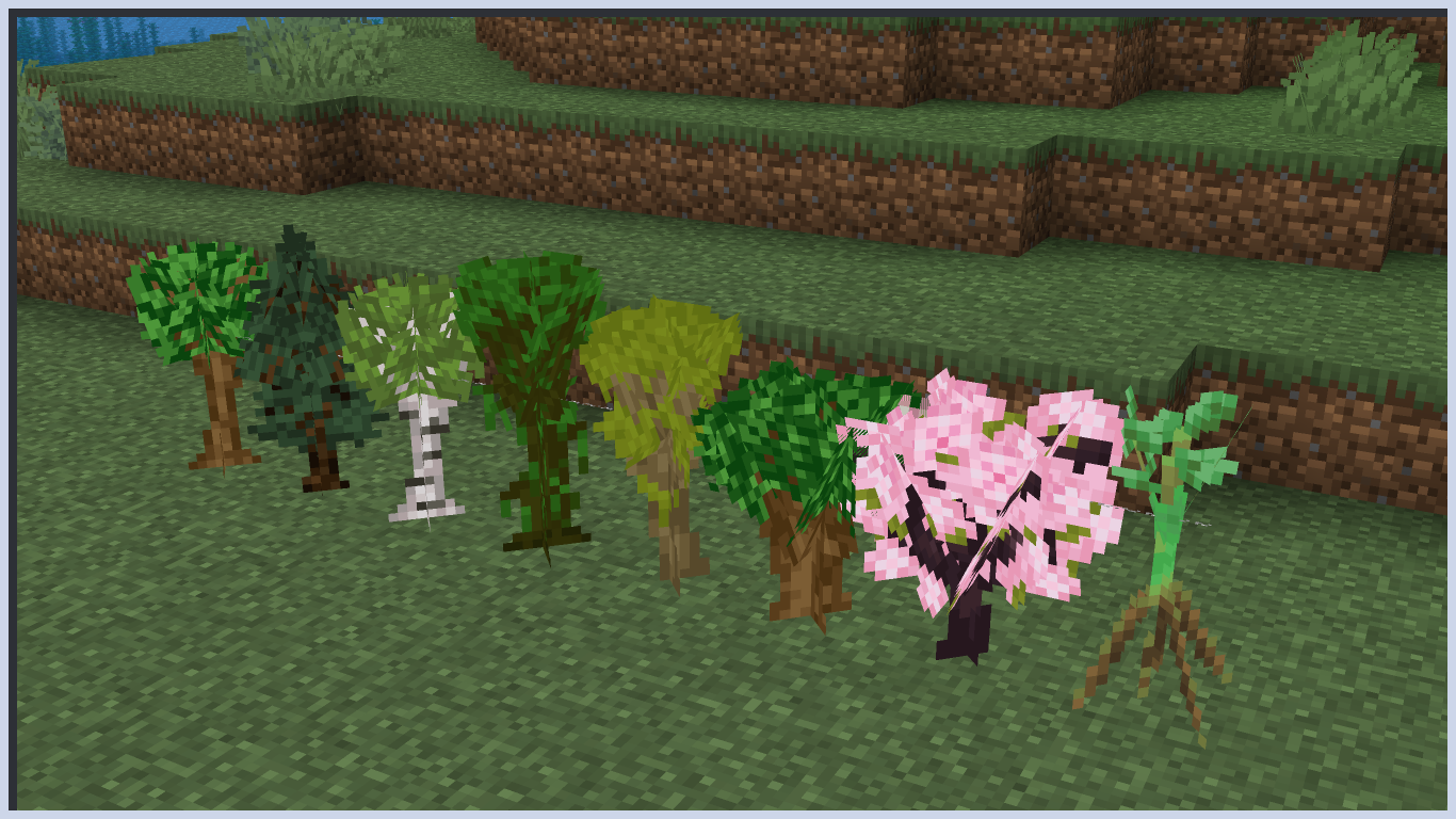 Visual Sapling Growth