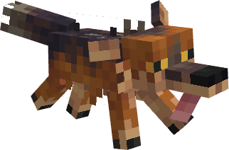 Default Coyote!