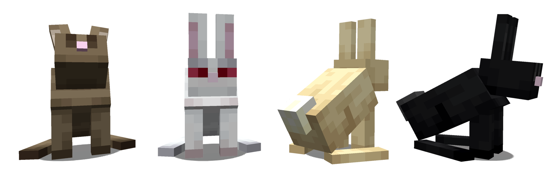 Four differently colored rabbits in a row looking in different directions, with the second one staring at the viewer.