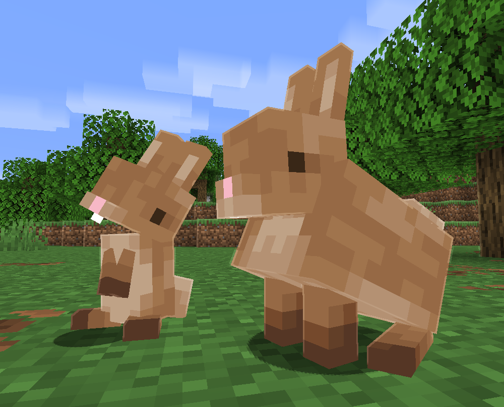 adult and baby rabbit