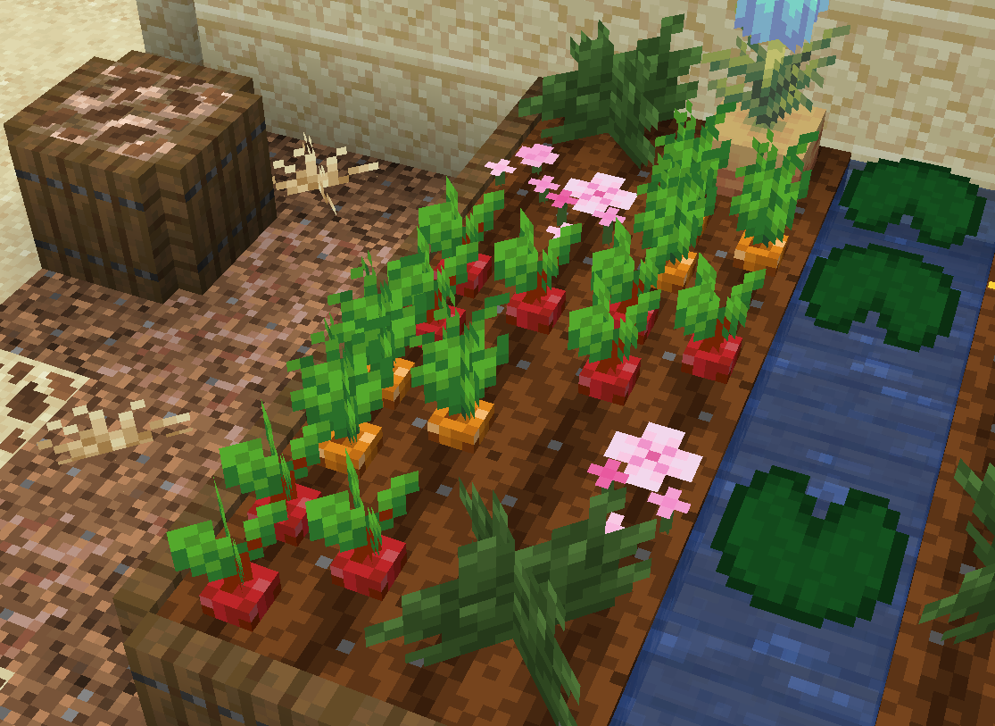 garden showcase