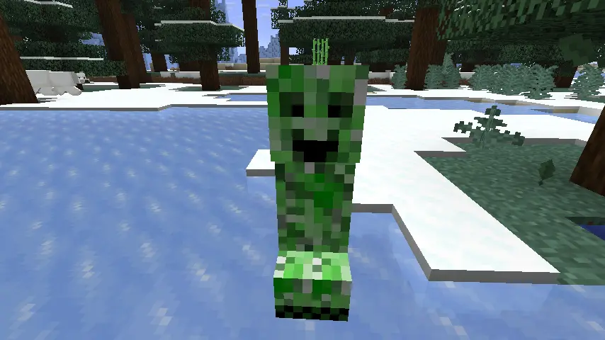 Smiling Creeper