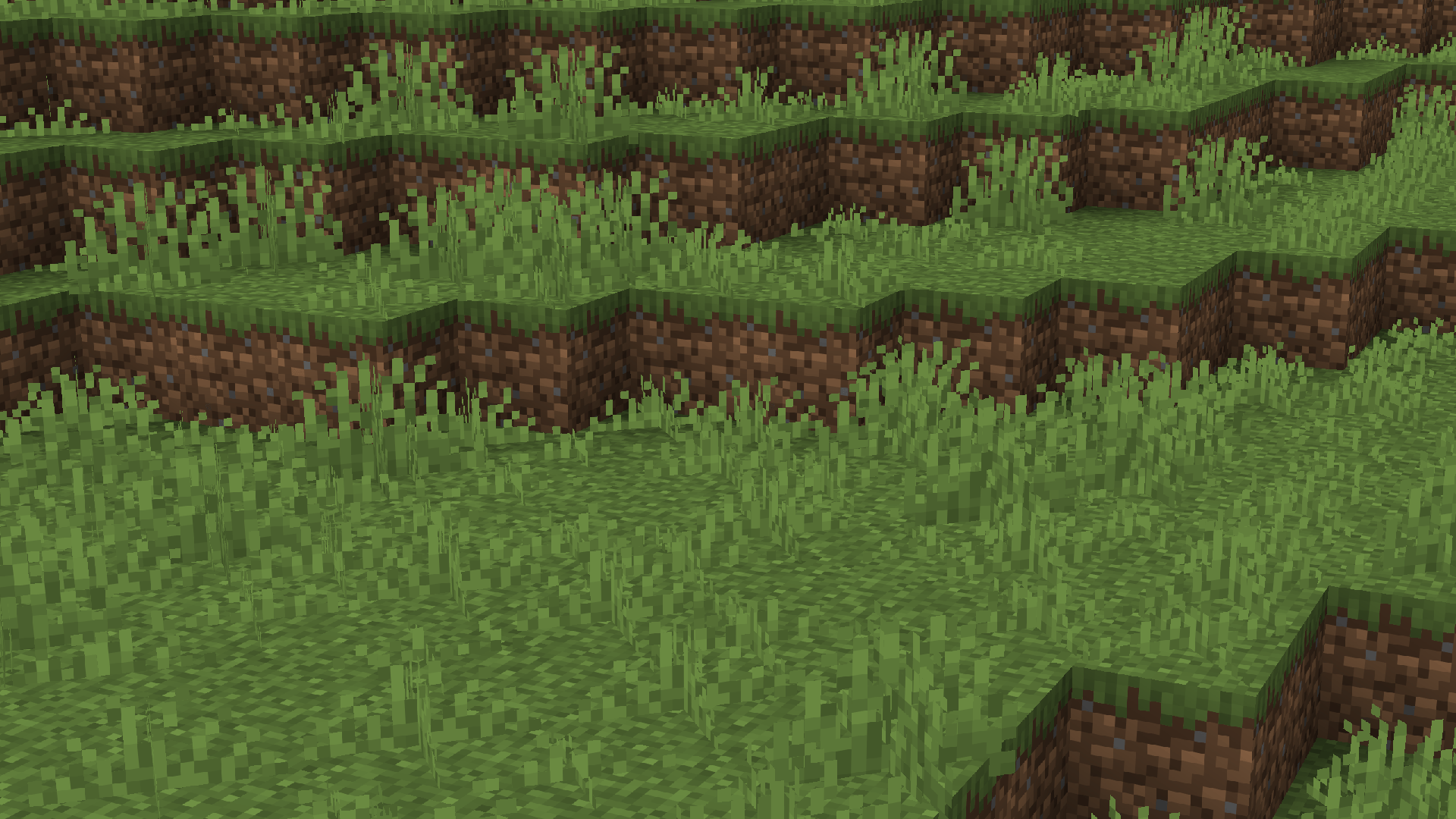 more grass