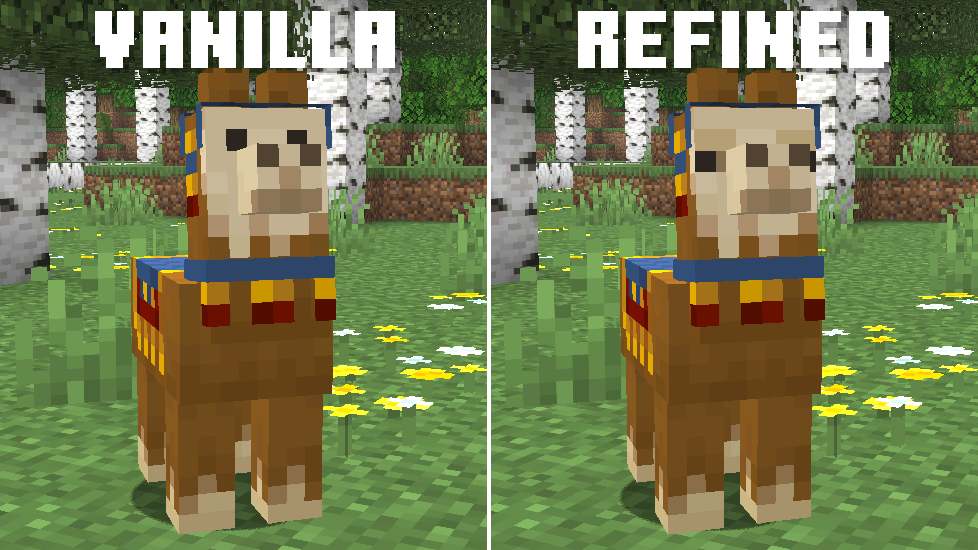 Refined Baby Llama Eyes Comparison