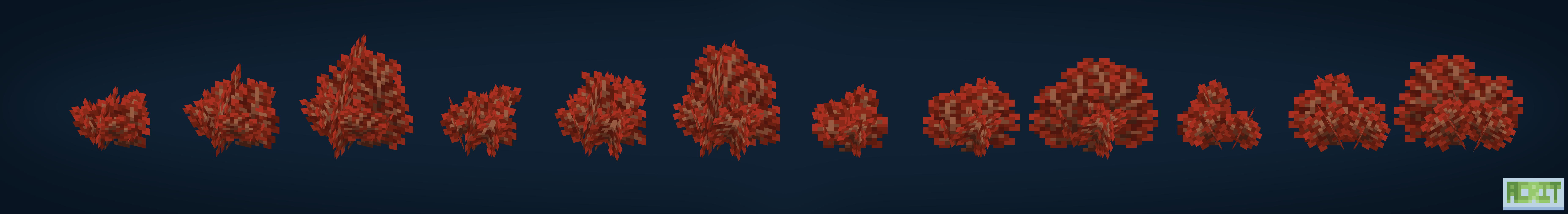 Dense Red Shrub