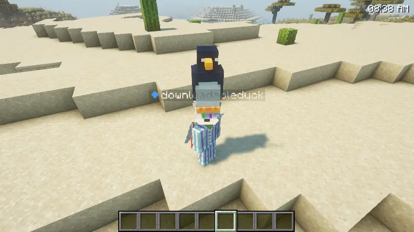 The penguin being picked up.