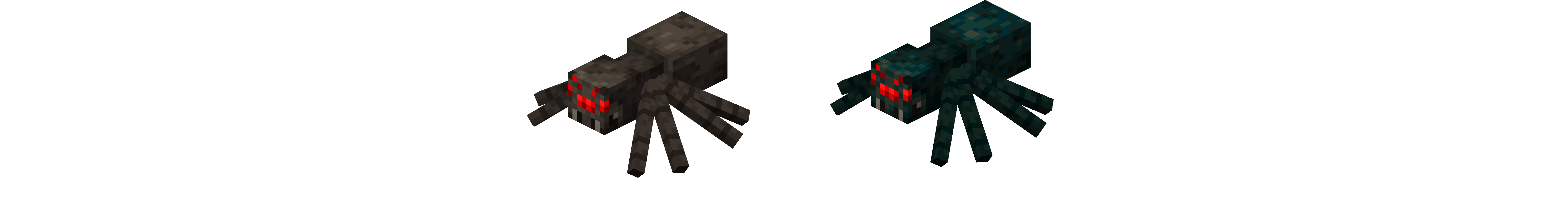 spiders