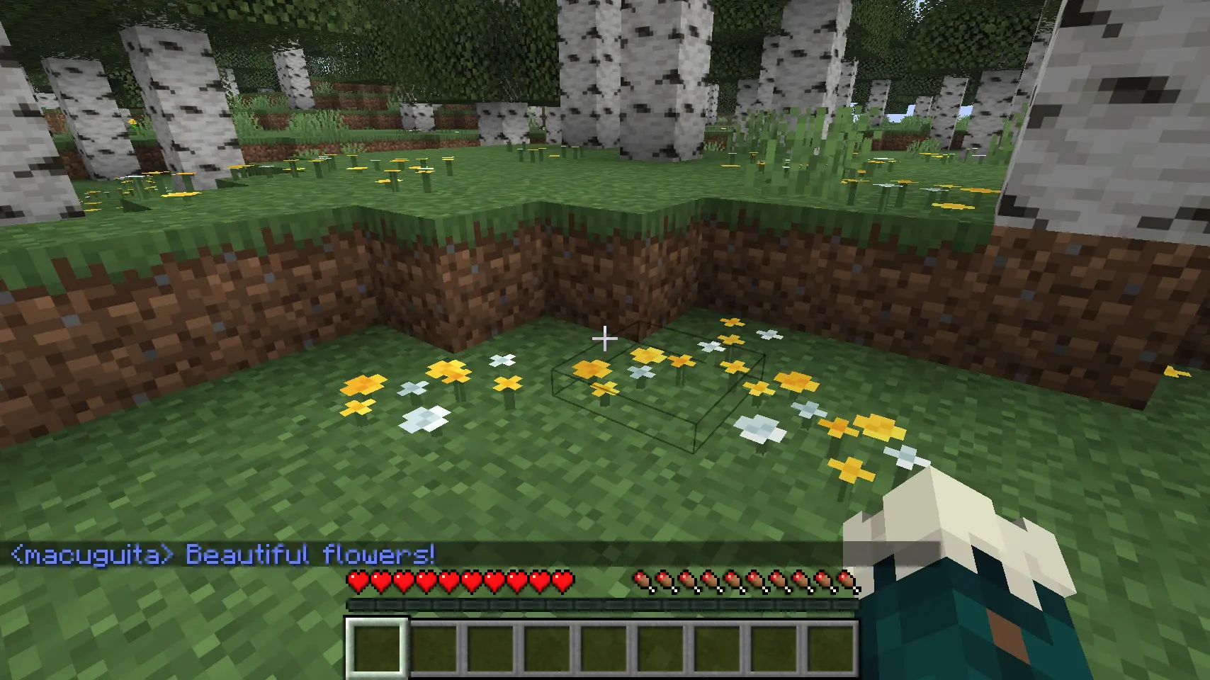 macuguita with a blue color on the chat says "Beautiful flowers!" while looking a minecraft wildflowers