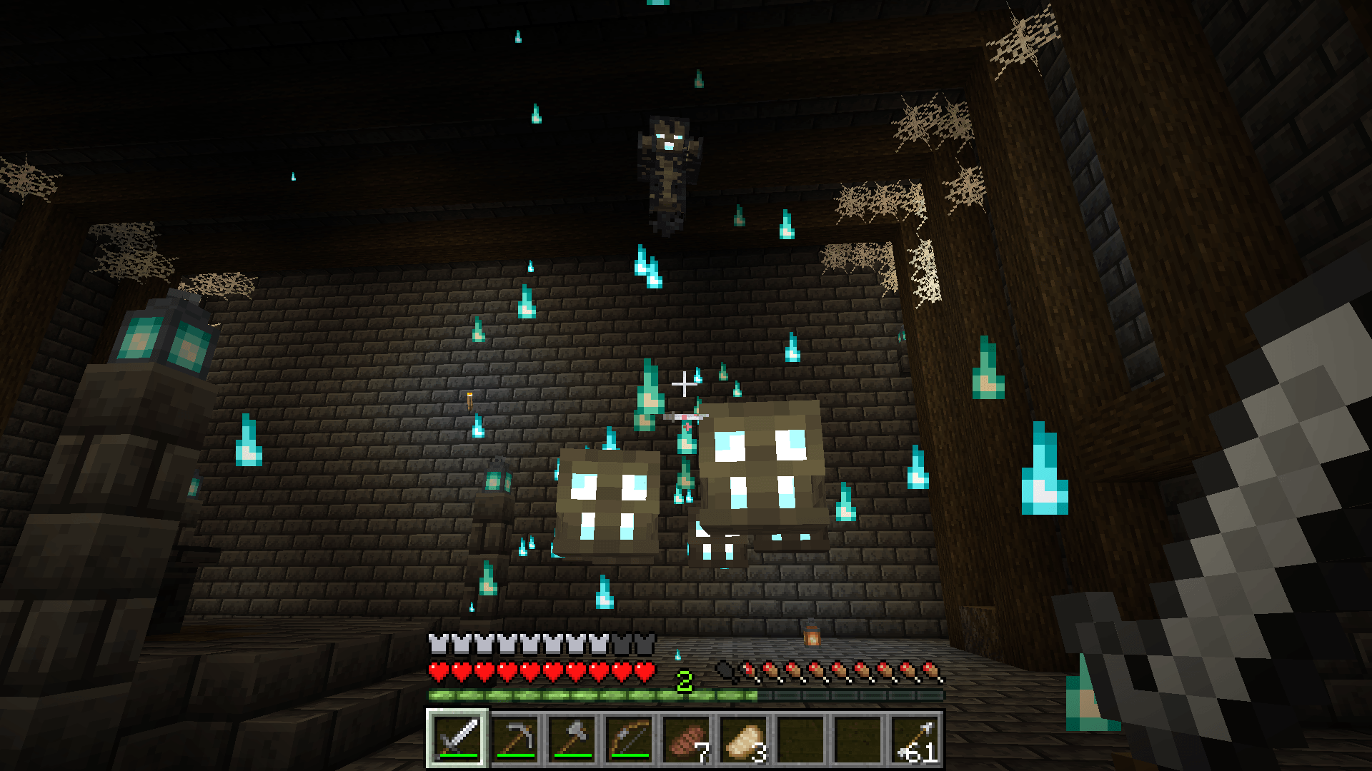 Fighting a Wraith in the Catacombs