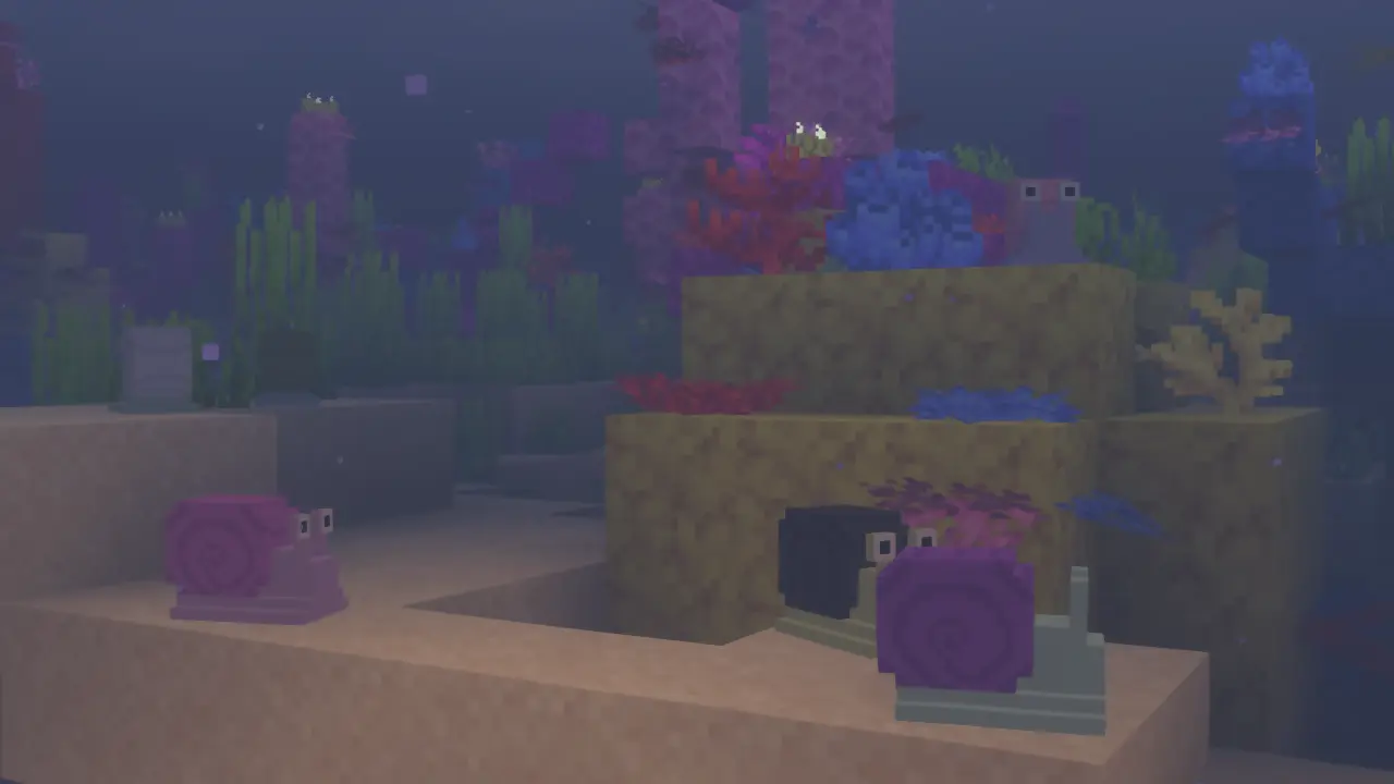 Snails Underwater