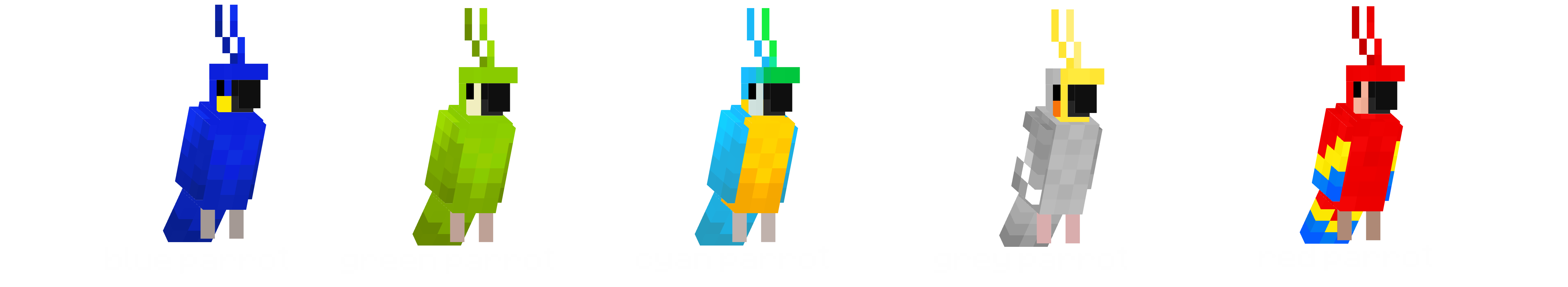 parrots