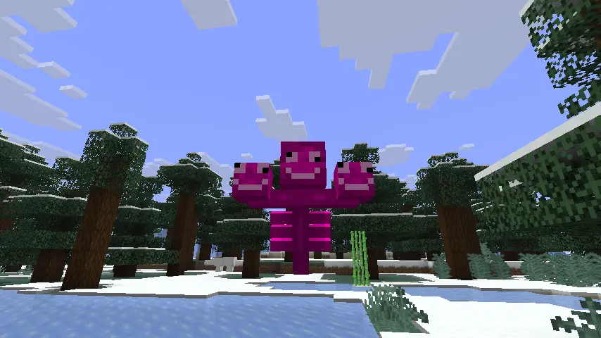 Pink Wither