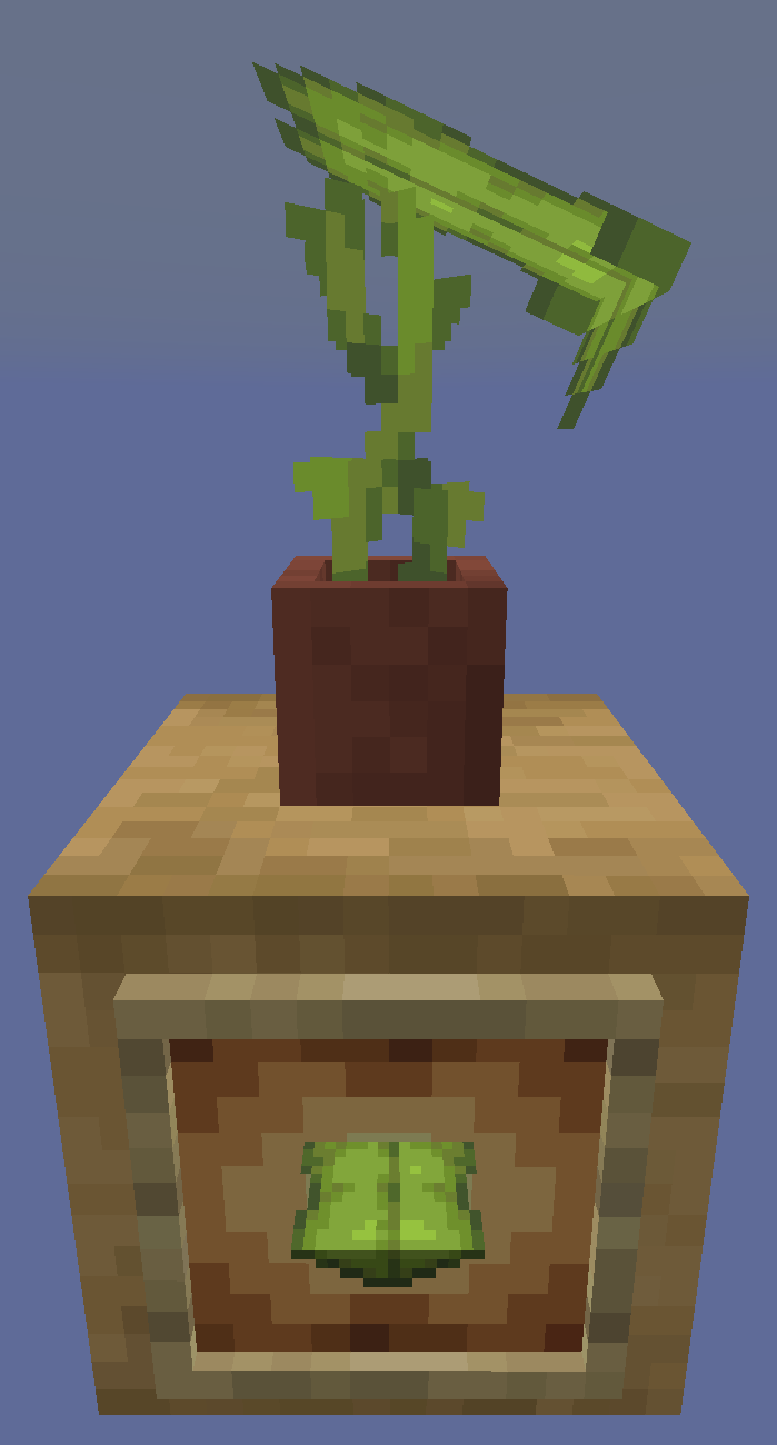 Potted Big Dripleaf
