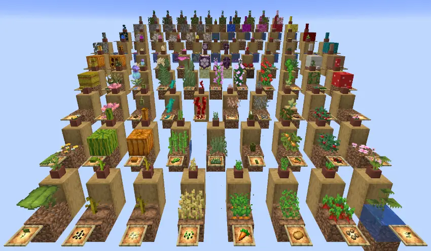 Plants Overview