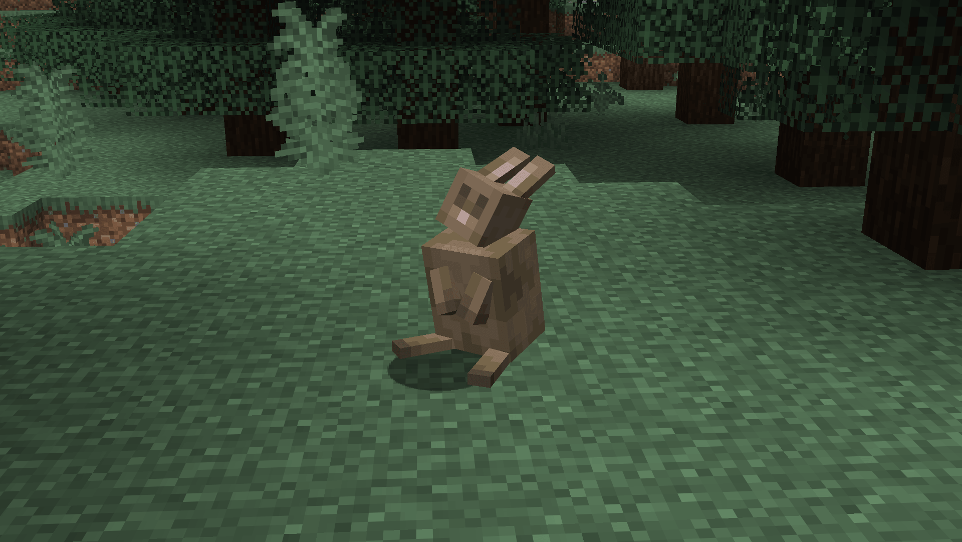 Brown Rabbit