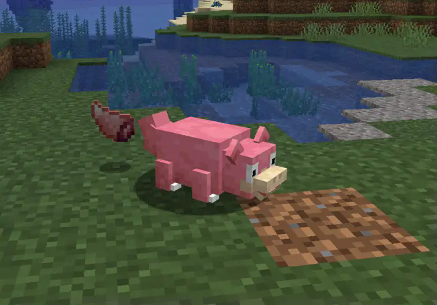 Slowpoke got sheared, dropping a delicious Slowpoke Tail...