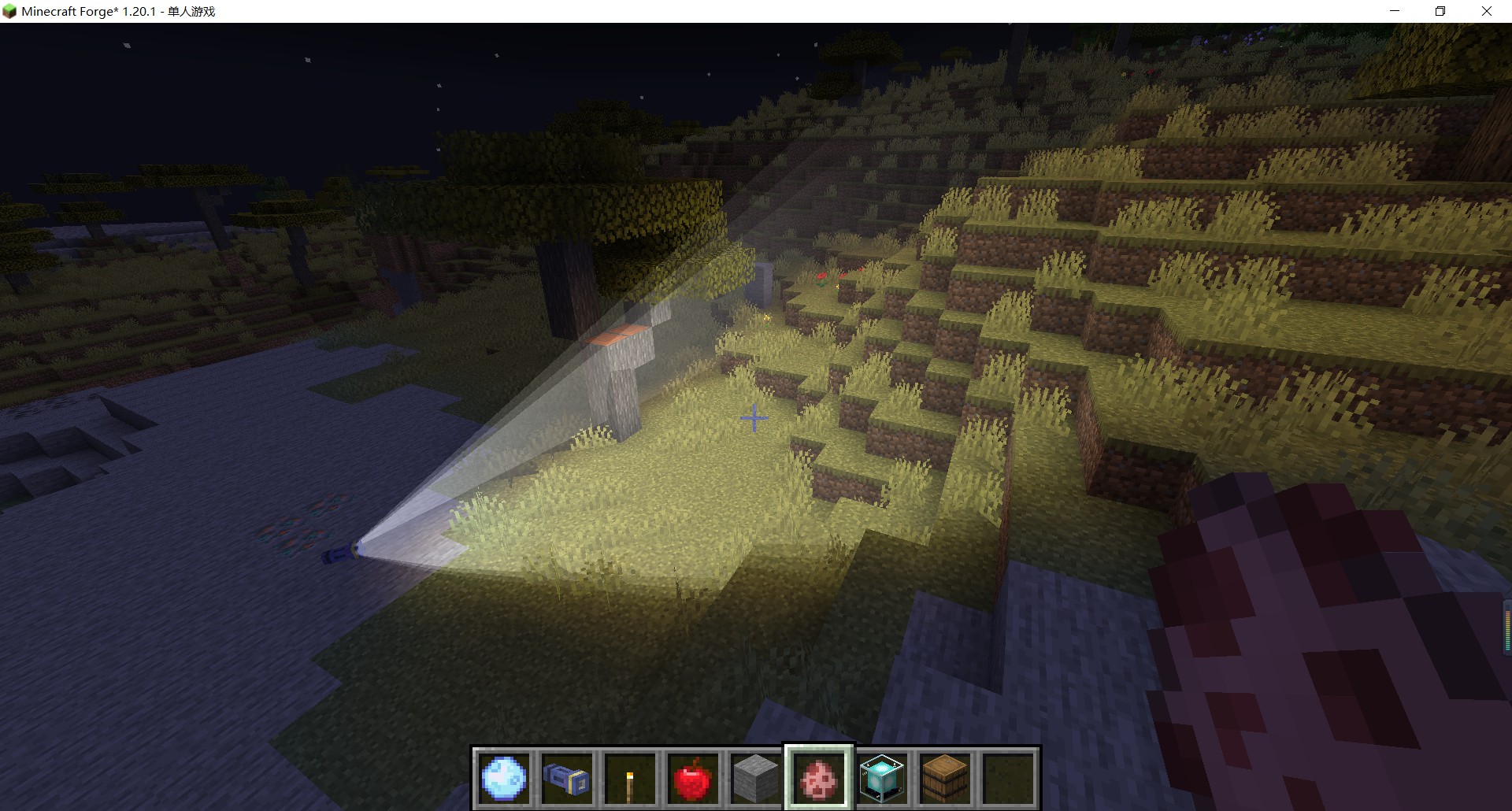 Placed MoonlightLamp