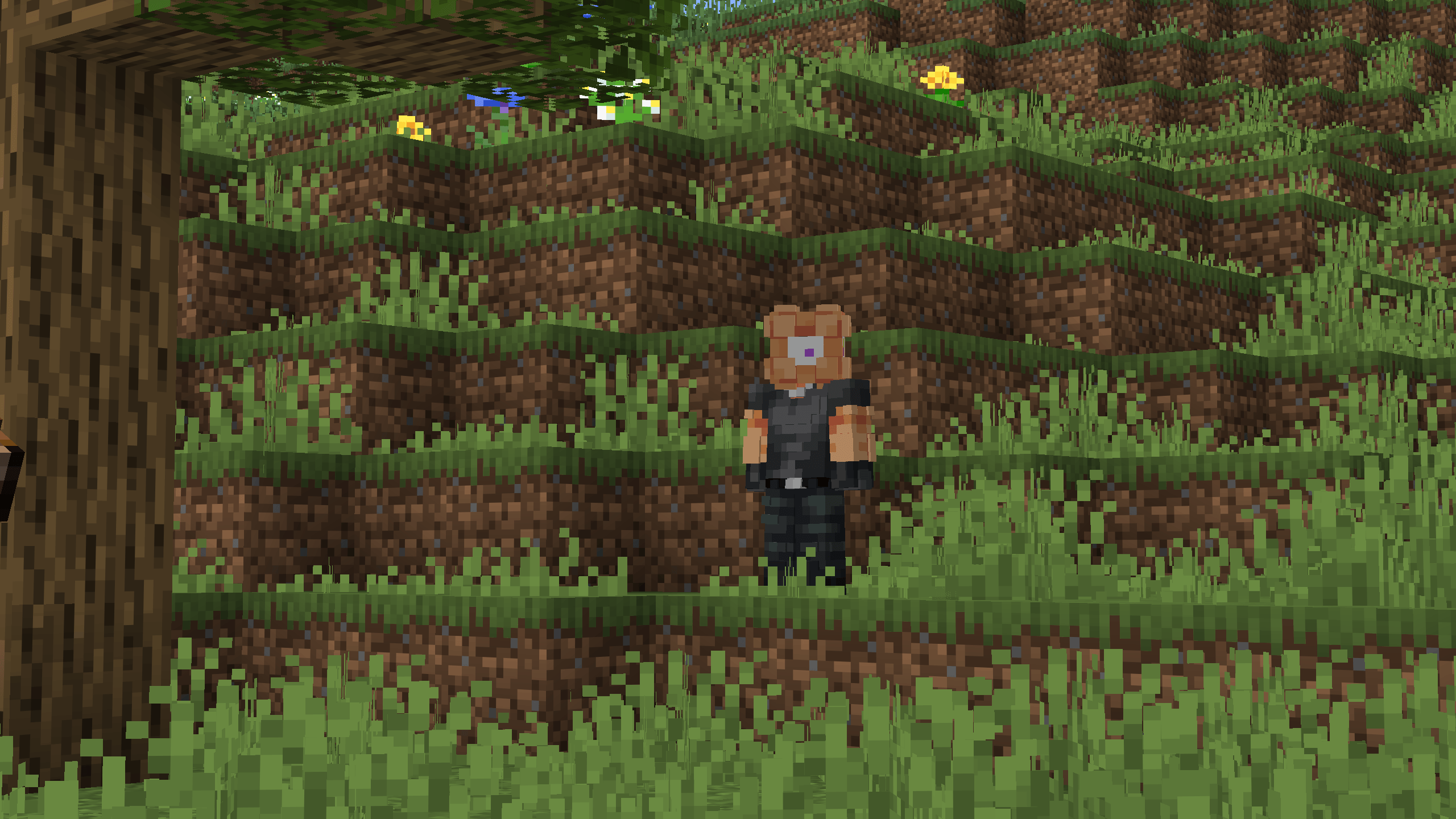grass