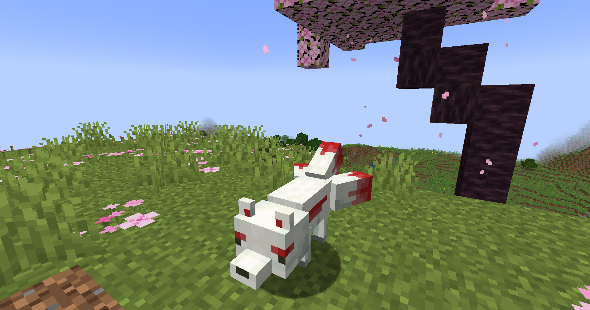 A kitsune under a cherry tree