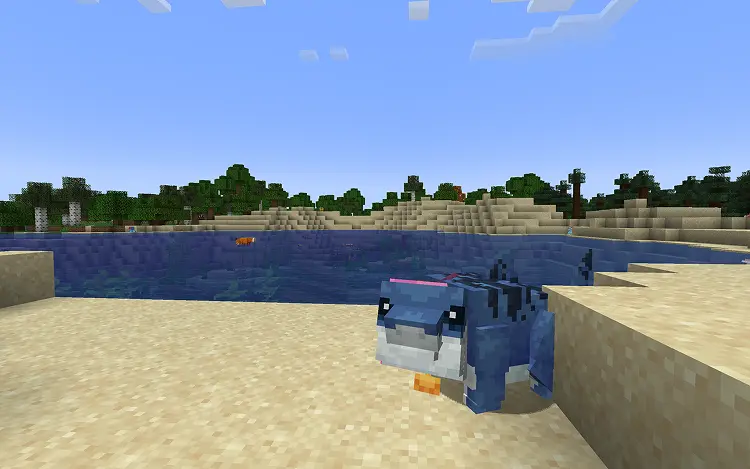 Jeff the Land Shark