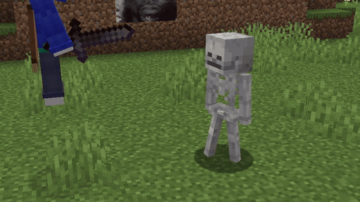 Skeleton