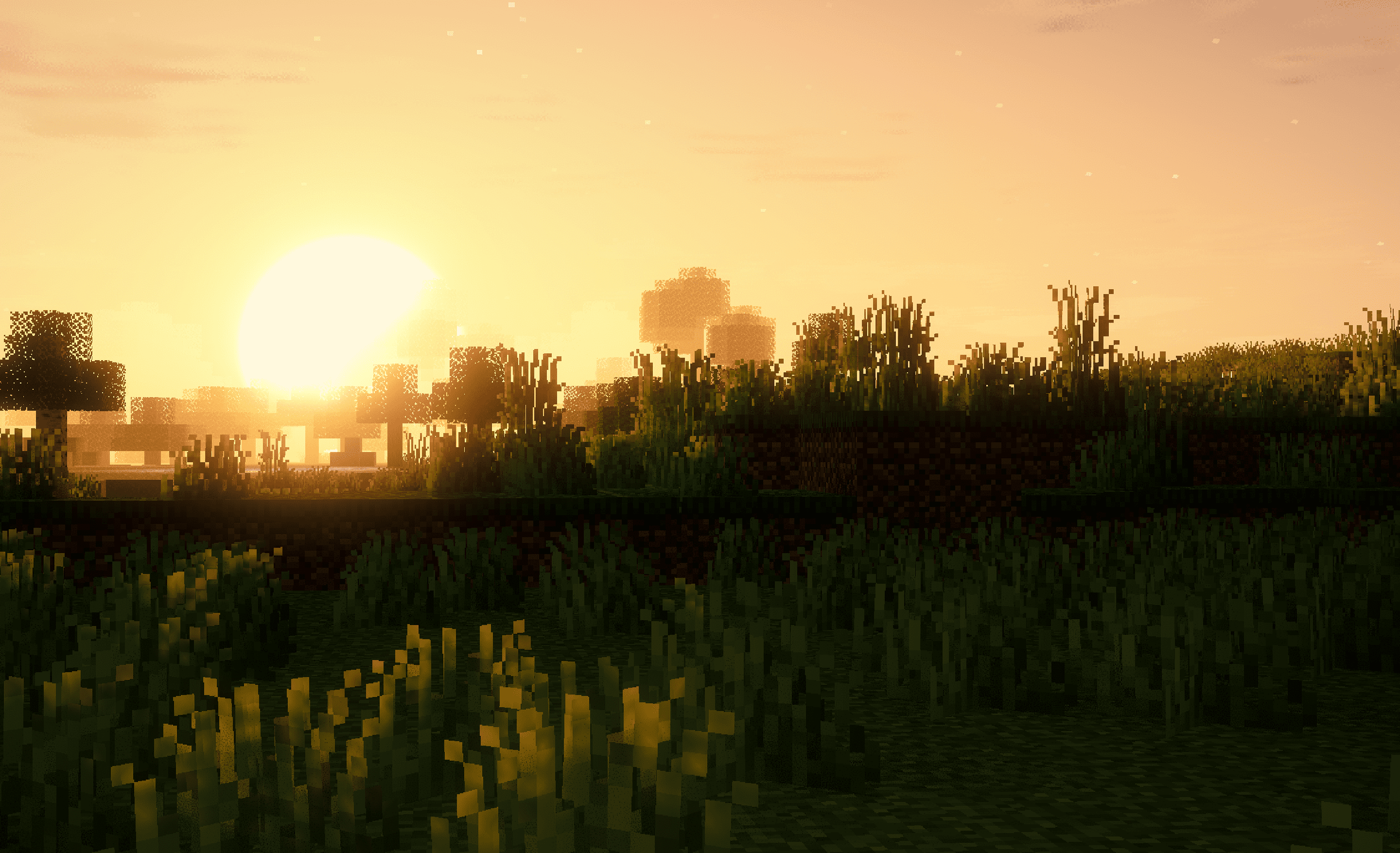 golden sunset in a plains biome with trees up head depicts the shader