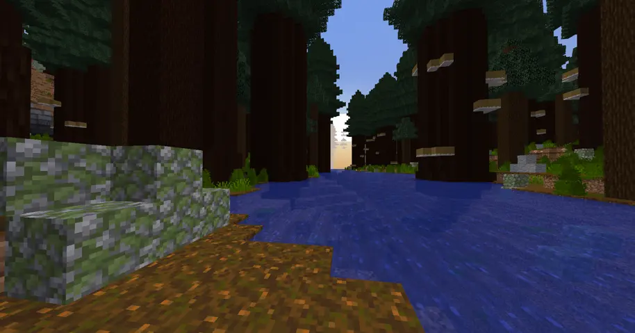 Taiga like forest with large thick trees that tower over everything