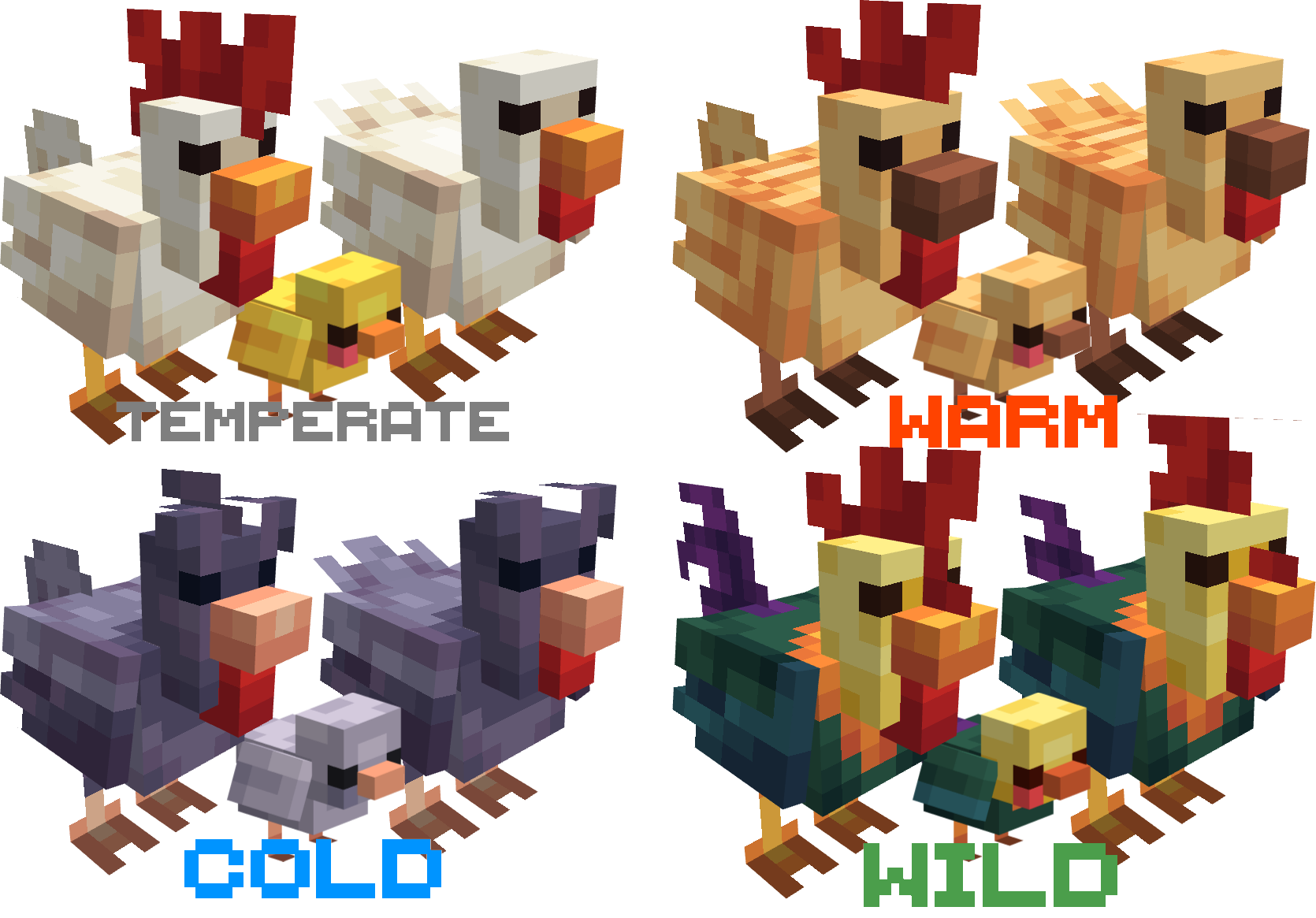 1.0/+ CHICKENS