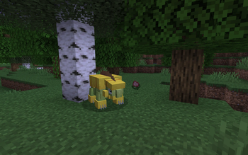 Sheared Grotle