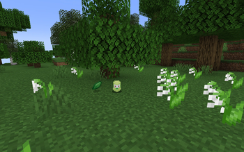 Sheared Petilil