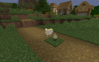 Sheared Fidough