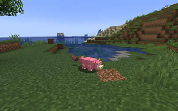 Sheared Slowpoke