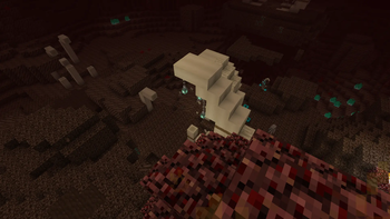 Nether bones
