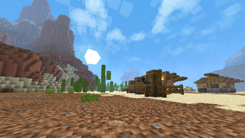 Desert Bird