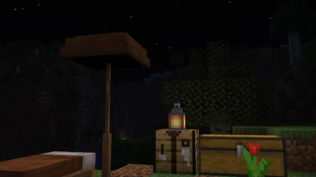 Campsite