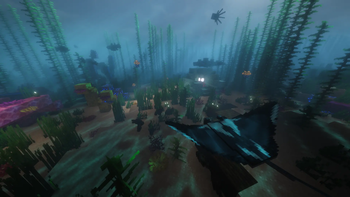 Under the Sea