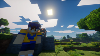 Old Banner