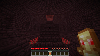 Nether