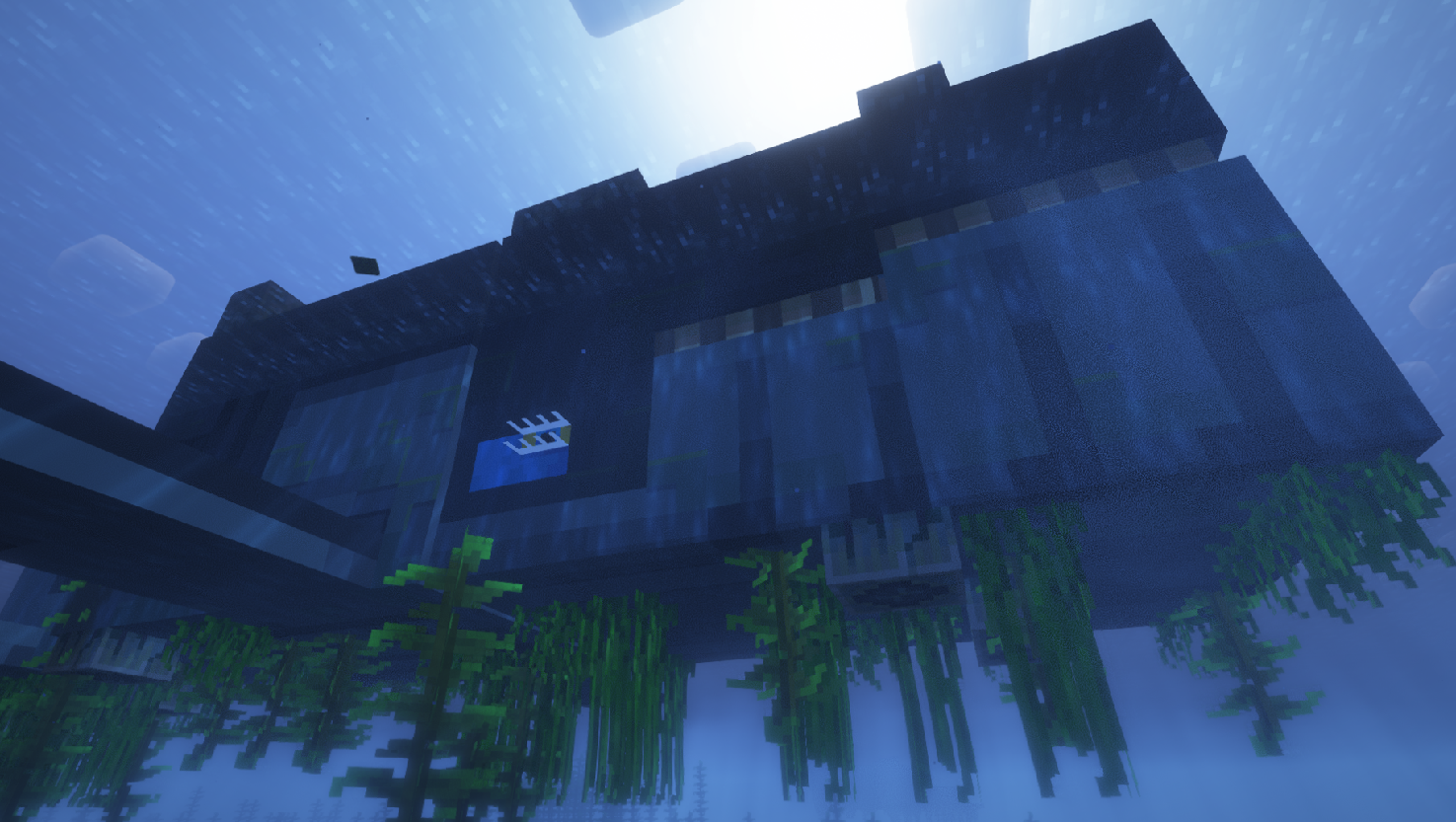Hullback Closeup