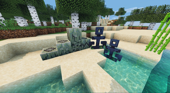 Blocks