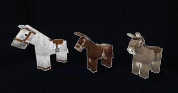 Horse, Mule, & Donkey