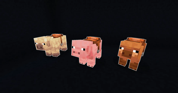 Pigs