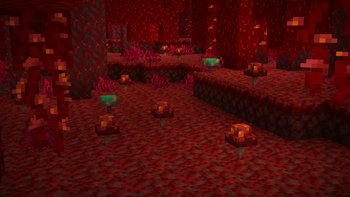 Nether Fungi