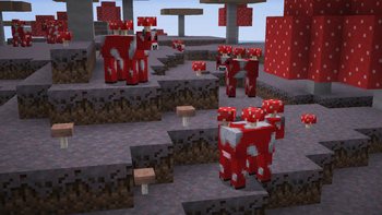 Mushrooms