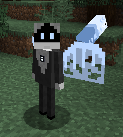 default drone with wings and tail