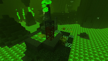 Toxic Island