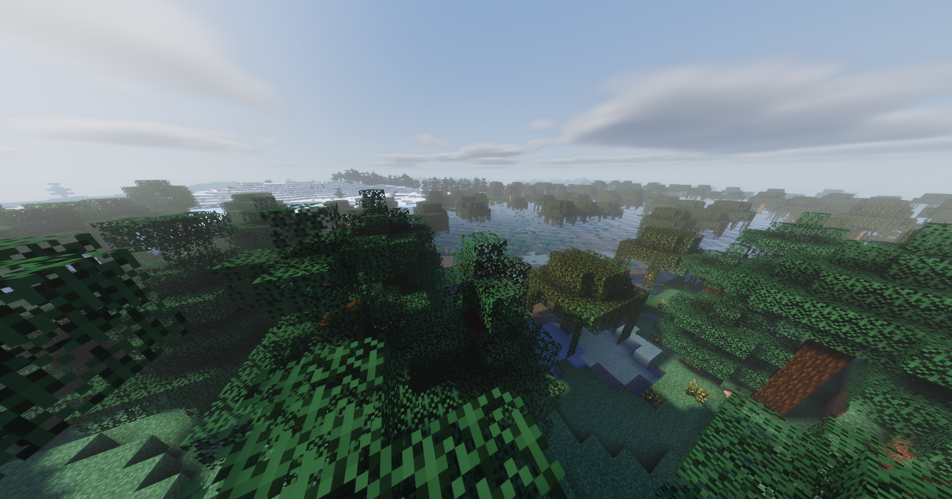 Swamp
