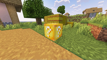 Lucky Block!